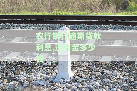 农行逾期违约金是多少钱，农行信用卡逾期违约金收费标准详解