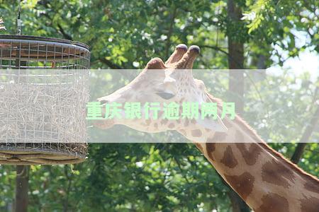 重庆银行推发行及放款时间表查询