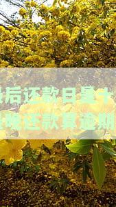 最后还款日是十日最晚还款算逾期吗，最后还款日为10日，逾期一天是否会被算作逾期？