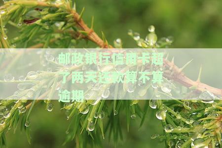 邮政信用卡可还款，最长可达3天宽限期