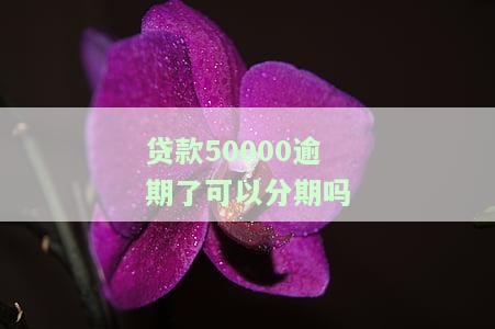 贷款五万逾期多久会导致不良征信？