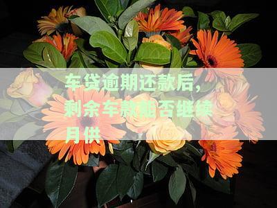 车贷逾期还款后,剩余车款能否继续月供扣除，车贷逾期后，剩余车款是否还能通过月供扣除？