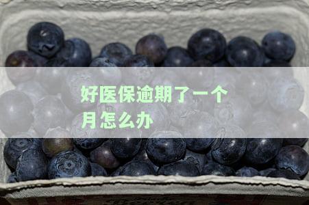 好医保逾期未付款在哪缴费，如何在好医保中缴纳逾期未付款？