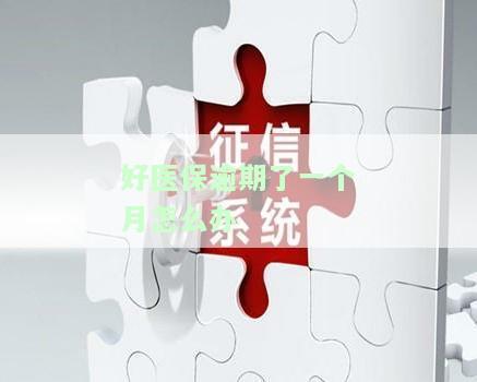 好医保逾期了一个月怎么办
