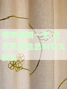 借呗逾期一天会上传到征信吗？影响信用记录的风险解析