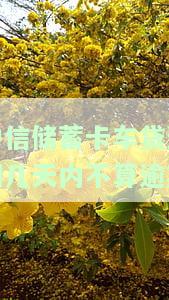 中信蓄卡车贷逾期几天内不算逾期了，中信蓄卡车贷：逾期几天内是否算逾期？