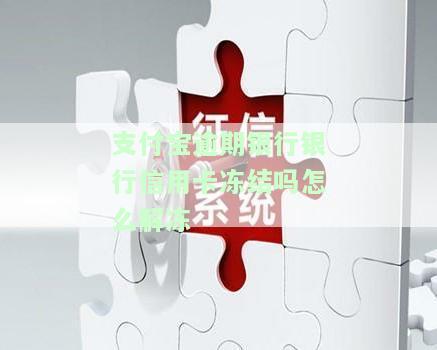 支付宝逾期信用卡被冻结了解决方法及解除步骤