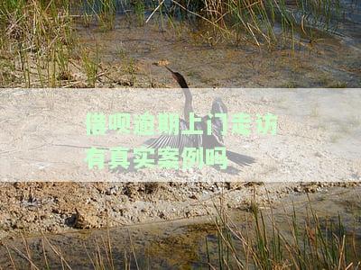 借呗逾期上门处理方法全解析