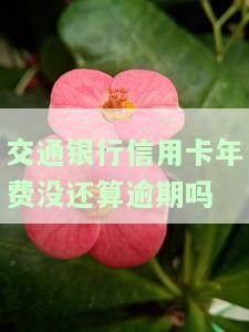 交通银行信用卡年费未算，是否算逾期？解决方案及知乎讨论