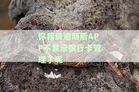 你我贷逾期后，不再显示银行卡管理，如何解决？