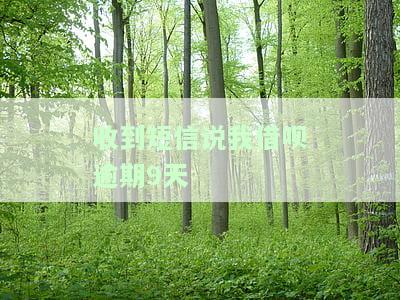 收到短信说我借呗逾期9天怎么回事，急需解答：收到短信称借呗逾期9天，实际情况如何？