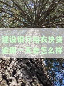 建设银行裕农快贷逾期一天会怎么样-建设银行裕农快贷逾期一天会怎么样吗