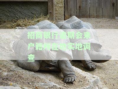 招商银行逾期三个月会去户所在地嘛，逾期三个月，招商银行是否会前往你的户所在地？