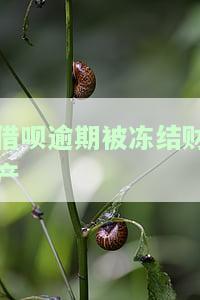借呗逾期后冻结银行卡了：如何解冻？