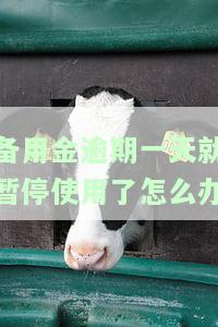 备用金逾期一天无法使用是怎么回事，备用金逾期一天，无法使用的原因解析