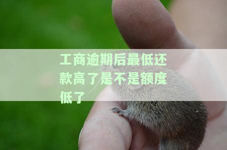 工商银行未提供最低还款却仍有违约金？这可能会影响你的信用记录！