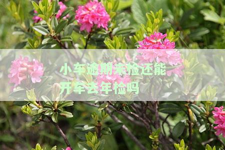 小车逾期未检还能开车去年检吗-小车逾期未检还能开车去年检吗现在