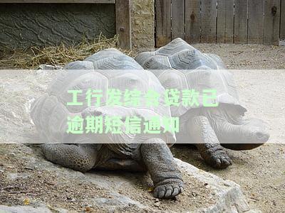 工行发综合贷款已逾期短信通知，如何处理？
