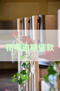 花呗逾期催款电话打来问家人知道吗应该怎样回答，如何应对花呗逾期催款电话，避免家人受到困扰？