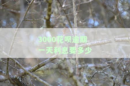 花呗3000块钱逾期6个月要多少违约金，逾期6个月未还花呗3000元，需要支付多少违约金？