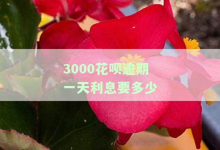 花呗逾期3000块钱逾期六个月会被起诉吗，逾期六月，3000元花呗欠款是否会面临法律诉讼？
