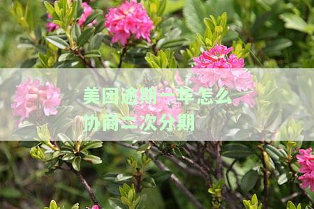 美团逾期一年，如何协商二次分期付款？即使已逾期半年，仍有协商空间。