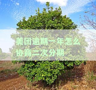 美团逾期一年能否通过客服协商仅还本金？