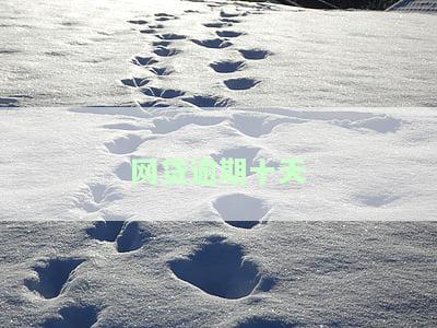 网贷逾期十天