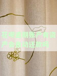 花呗逾期账户有资产会自动还款吗怎么办，如何处理花呗逾期账户？资产自动还款真的可行吗？