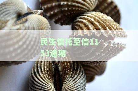 民生信托至信1153逾期