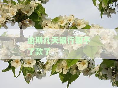 逾期几天银行取不了款了