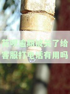 花呗逾期被关了给客服打电话有用吗，花呗逾期被关闭？能否通过拨打客服电话解决？