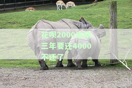 花呗欠3000逾期俩年会怎么样，逾期两年，花呗欠款3000元的后果是什么？