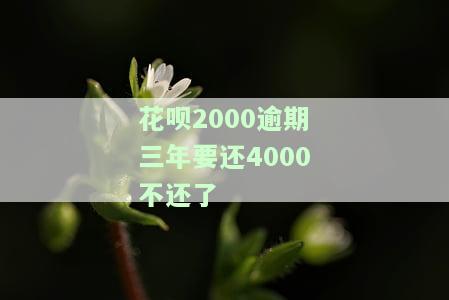 花呗欠款3000逾期两年，会对征信产生影响吗？能否坐高铁？