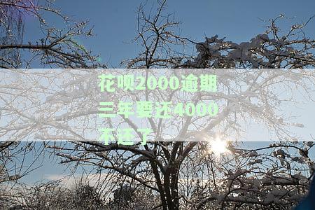 欠了花呗1000块逾期三年怎么到1800，逾期三年，欠款1000元的花呗如何变成了1800元？
