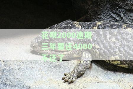 花呗欠款2000逾期三个月会被起诉吗，花呗欠款2000元逾期三个月，是否会面临被起诉的风险？