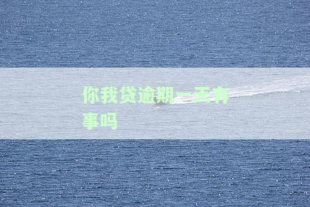 你我贷不小心逾期一天怎么办及时还了，如何处理你我贷逾期一天的情况？及时还款是关键！