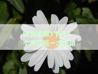 网贷逾期3个月后再还款：影响与可能性