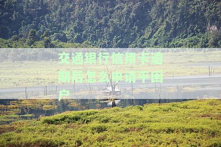交通银信用卡逾期如何协商还款，如何与交通银行信用卡进行逾期还款协商？