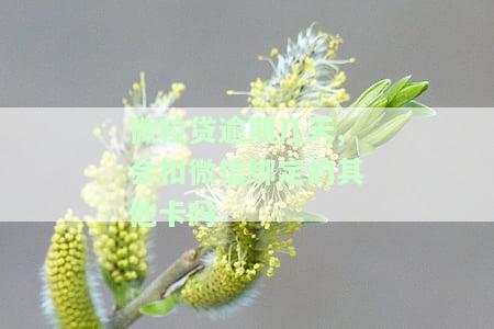微粒贷逾期会扣除微信绑定的银行卡钱吗？安全性如何？