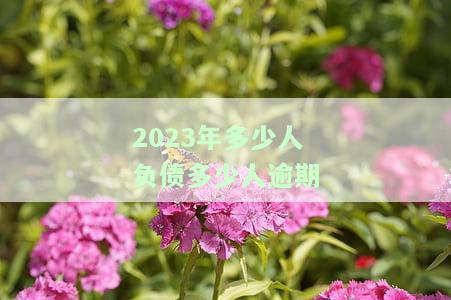 2020年负债逾期人数，揭示2020年财务困境：负债逾期人数统计分析
