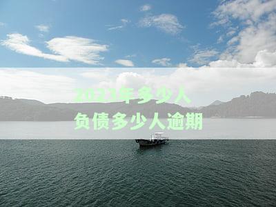 2020-2021年负债人数统计：揭示经济压力与消费观念变化