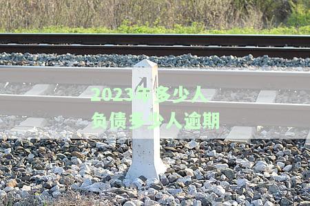 2021年多少人负债，揭秘2021年负债人数：你是否在其中？
