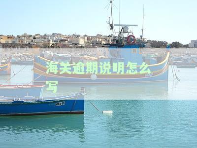 海关逾期说明文大全：如何撰写及注意事