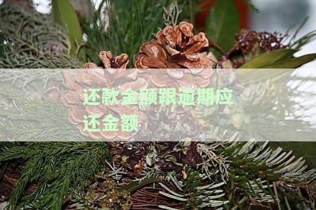 还款金额与逾期应还金额一致？如何处理？原因解析