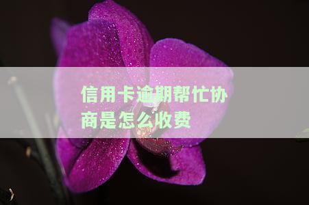 帮信用卡逾期客户协商分期付款：可信吗？