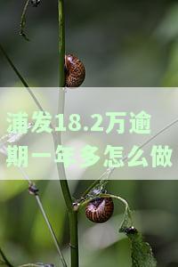 浦发逾期多久会要求一次性还全部欠款，浦发银行逾期多久将要求一次性偿还全部欠款？