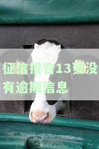 征信报告13页无逾期信息，如何查询与处理？