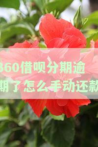 360借呗分期逾期后如何手动还款？