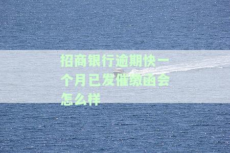 招商逾期一个月会被起诉吗，招商逾期一个月是否会面临被起诉的风险？